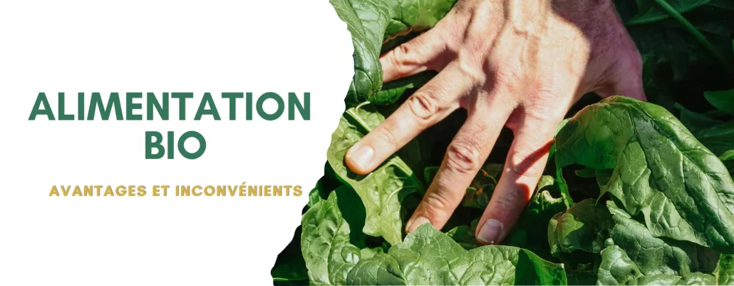 Avantages et inconvénients de l'alimentation biologique