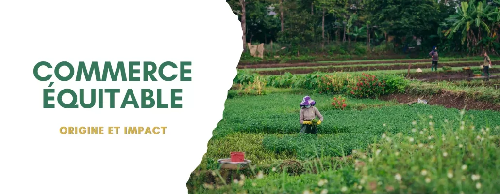 Commerce équitable origine et impact