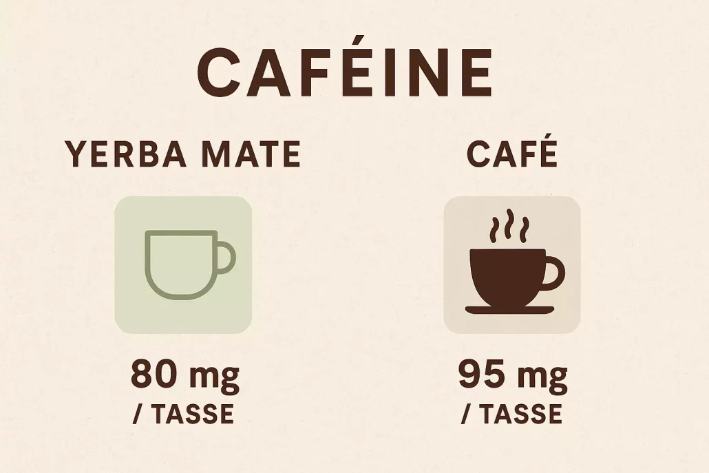 Est-ce que le maté contient de la caféine?
