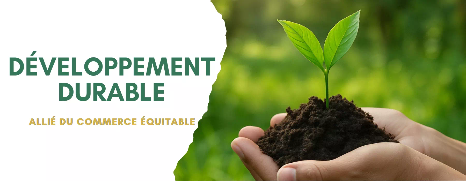 Développement durable et commerce équitable