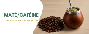 Maté et caféine
