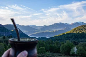 Boisson Yerba Mate