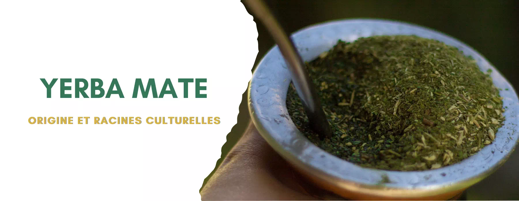 Origine du Yerba Mate