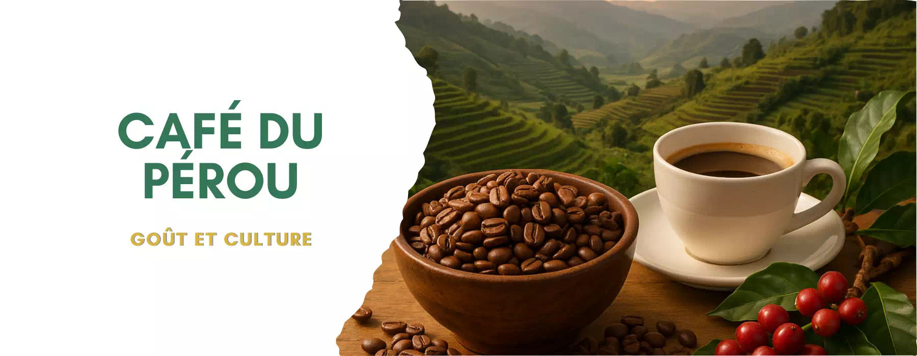 Découvrir le café du Pérou