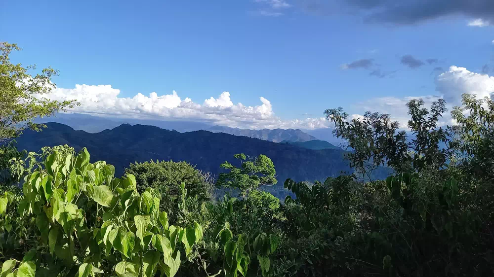 Café Pérou paysage voyage