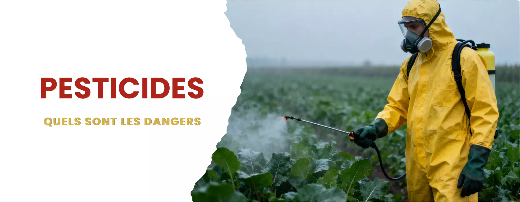 pesticides danger