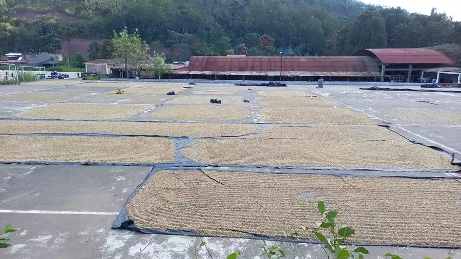 Pourquoi choisir SALDAC Suisse