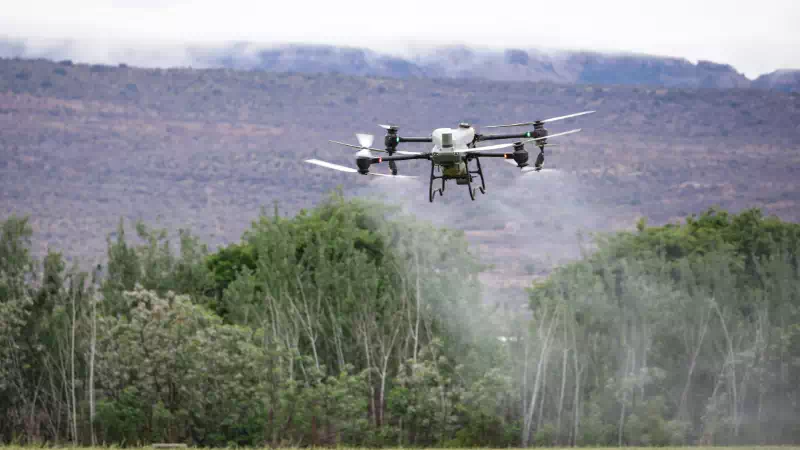 que sont les pesticides