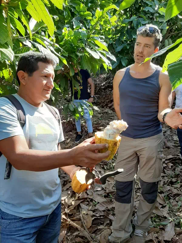 Voyage 2023 Pangoa conservatoire de variétés de cacao