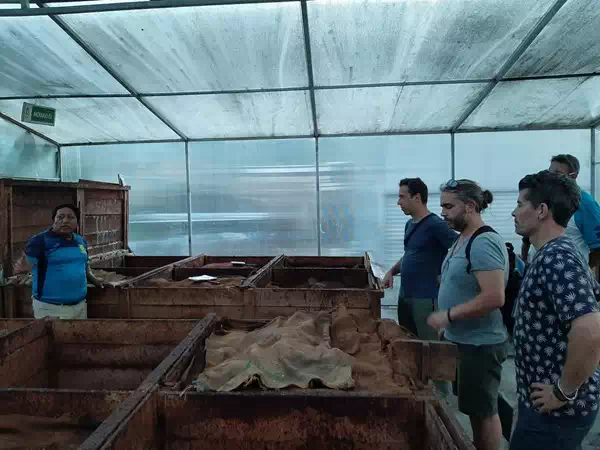 Voyage 2023 Pangoa fermenteur à cacao