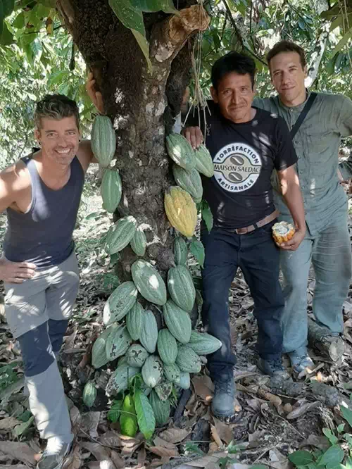 Voyage 2023 plantation Don Marcial