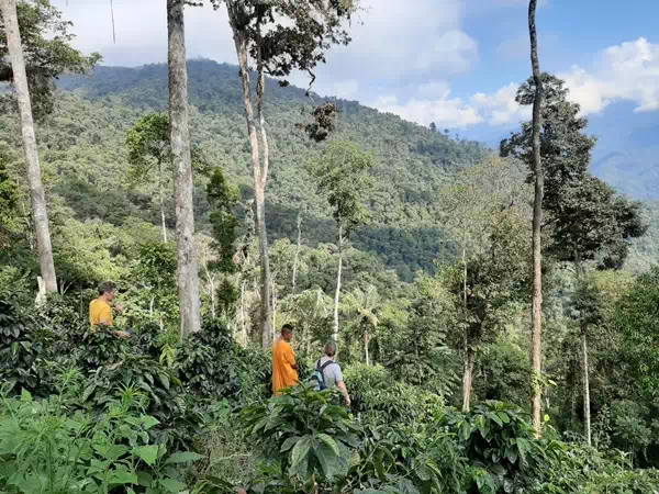 Voyage 2023 projet gardiens de la forêt