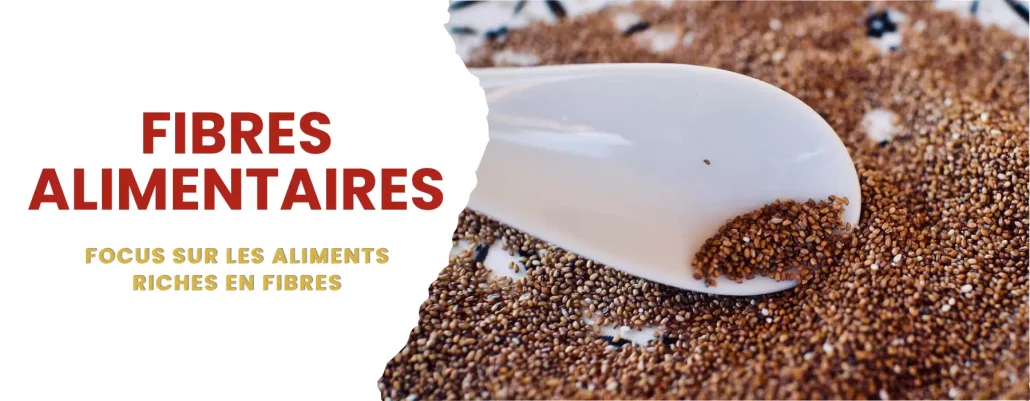 aliments riches en fibres