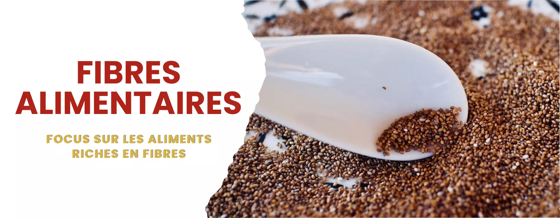 aliments riches en fibres