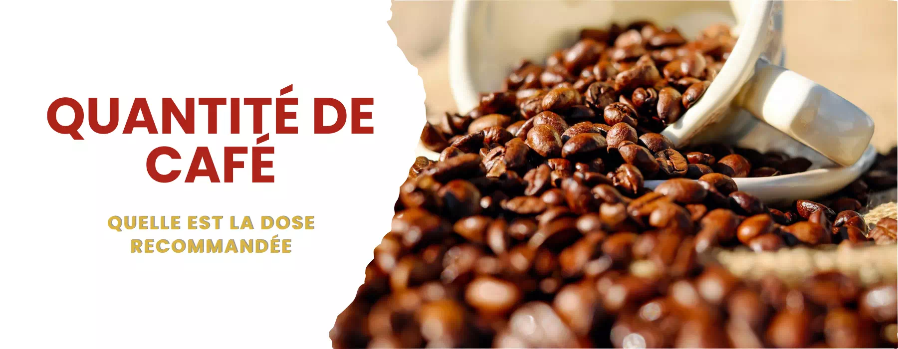 quantite journaliere de cafe