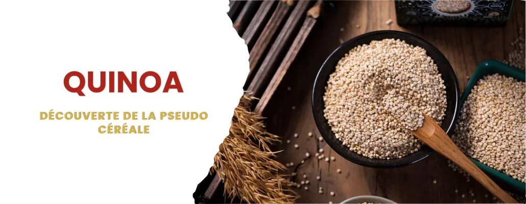 quinoa pseudo cereale