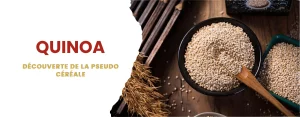 quinoa pseudo cereale