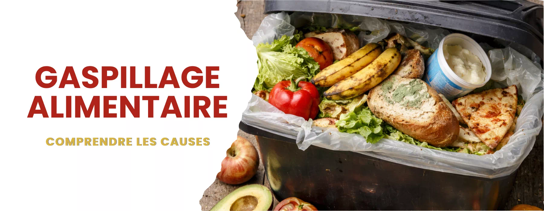 gaspillage alimentaire
