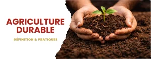 Agriculture durable