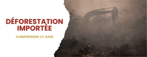 Déforestation importée